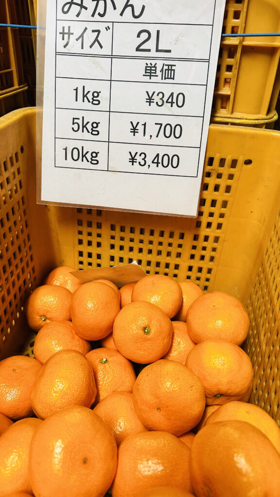 2024年末感謝価格販売 12/27まで ⋆ 観光農園 南楽園